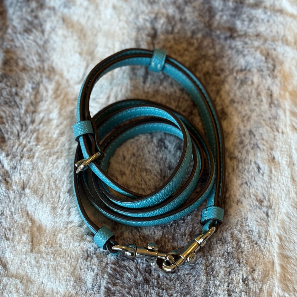 Coach Blue Crossbody Bag with Dome Shape and Zipper Closure - Picture 5 of 5